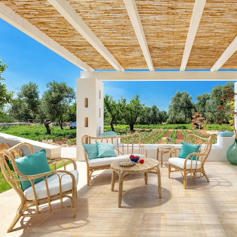 Sit back with a glass of Negroamaro under the pergola