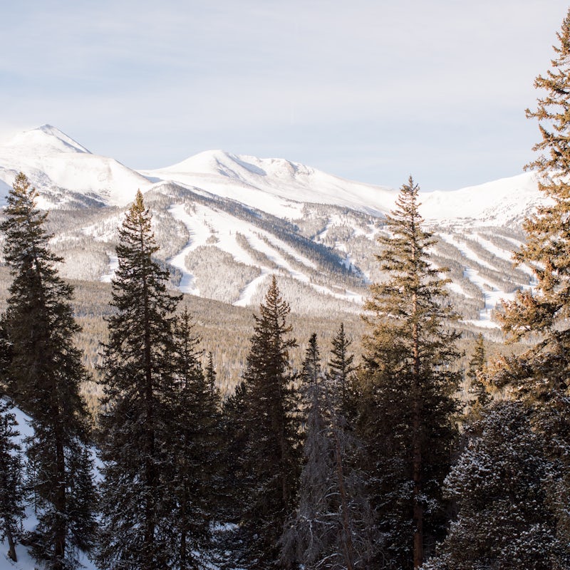Adventure into the majestic mountains of Colorado