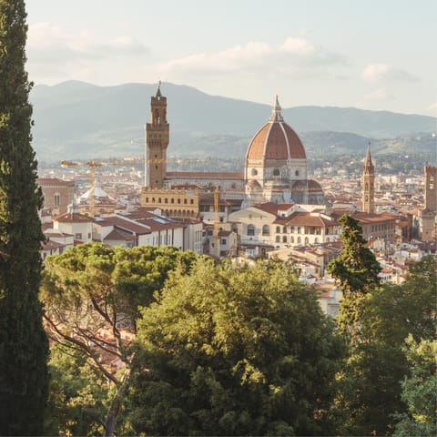 Make the 35km drive to Florence and spend the day admiring art