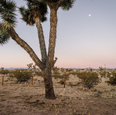 Plan a desert hike starting right from your front door