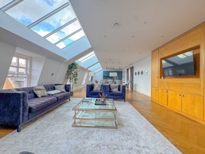 Skylight & Cobblestone image 1