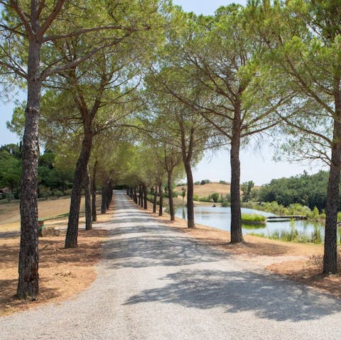 Stroll down the tree-lined path to your home to find natural beauty and wildlife
