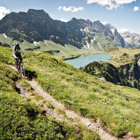 Discover scenic biking or hiking trails 