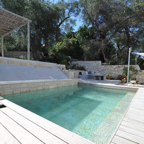 Take a refreshing dip in the plunge pool, after a morning of discovering Paxos 