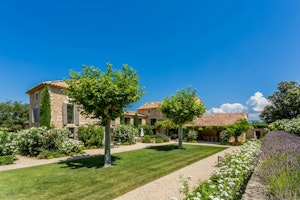 Lavender Field image 12