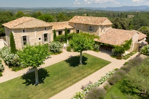 Lavender Field image 7