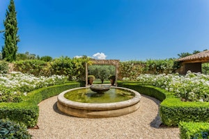 Lavender Field image 2