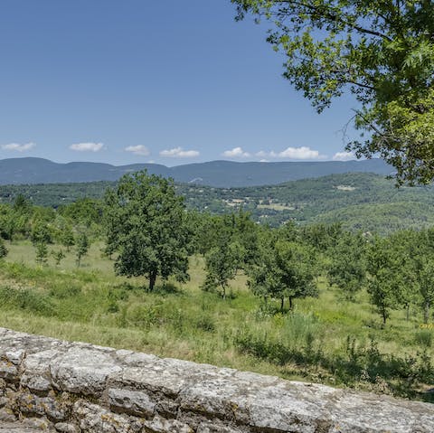 Head out on excursions into the luscious Provence countryside that surrounds the home