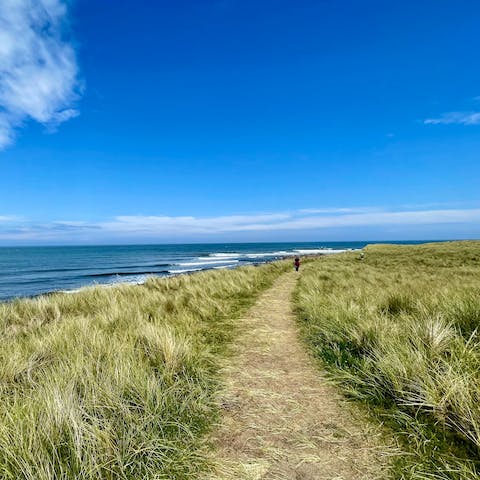 Stroll around the walking trails that decorate the landscape