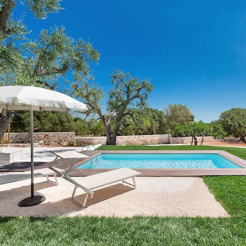 Savour a glass of wine as you lounge by the tree-lined pool