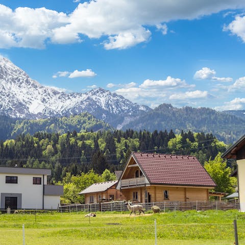 Stay in Finkenstein overlooking captivating views of Mittagskogel mountain