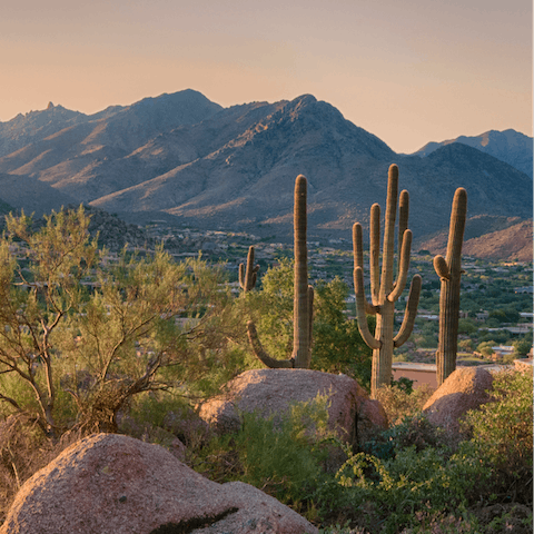 Take in the desert beauty