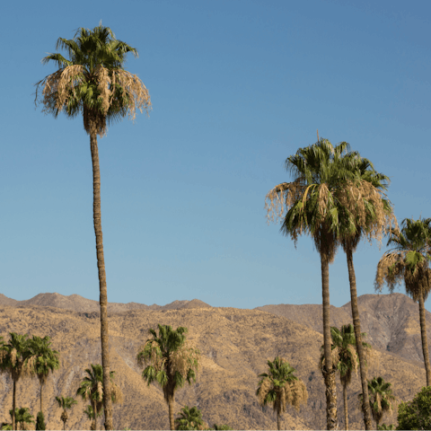 Take in those Rancho Mirage views