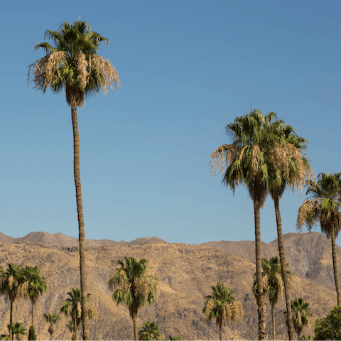 Take in those Rancho Mirage views