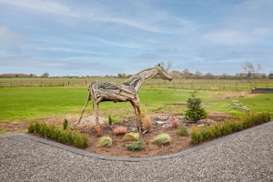 Country Diaries image 6