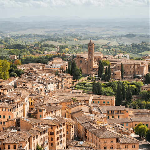 Take a day trip into Florence, a forty-minute car ride away