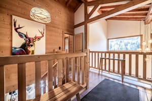 Morzine Muse image 5