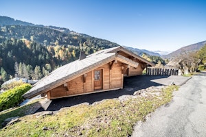 Morzine Muse image 3