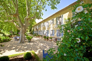 Whispered Villa image 1