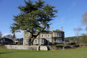Pheasant Grove image 11