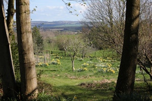 Pheasant Grove image 4