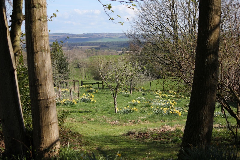 Pheasant Grove additional image