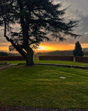 Pheasant Grove image 3