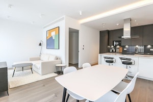 The White Apartment image 8