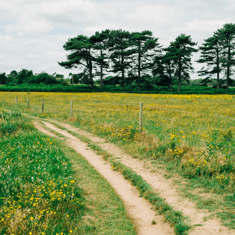 Don your hiking boots to explore – there's circular paths just footsteps away