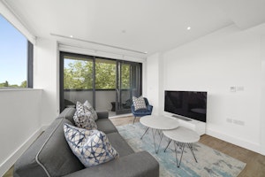 Central Seclusion image 13