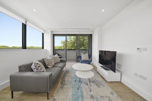Central Seclusion image 7