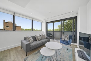 Central Seclusion image 4
