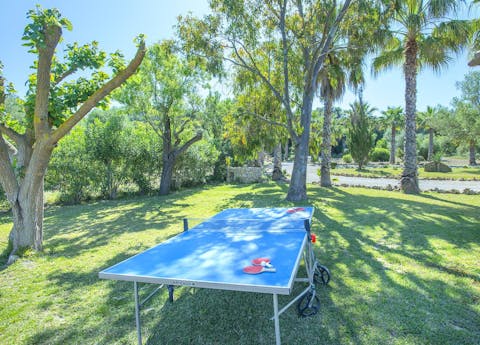 Keep younger guests entertained with a game of table tennis