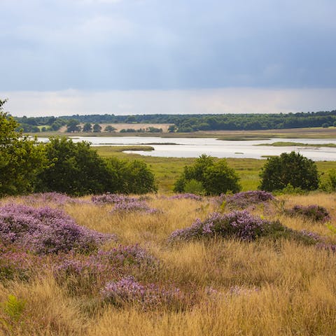 Explore the glorious Suffolk Heaths and Coast – the incredible Sutton Hoo archaeological site is a ten-minute drive from your doorstep