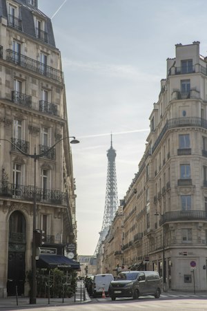 Triumphant Paris image 11