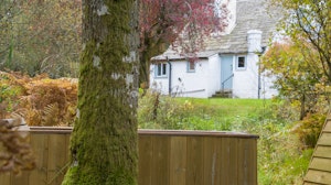 Woodland Cottage image 14
