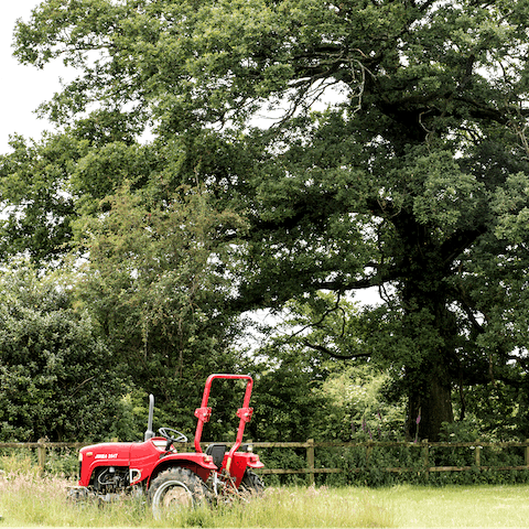 Explore the lush countryside around the River Banwy, a five-minute walk from home