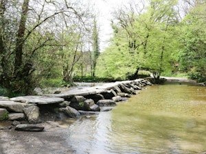 Exmoor Soul image 4
