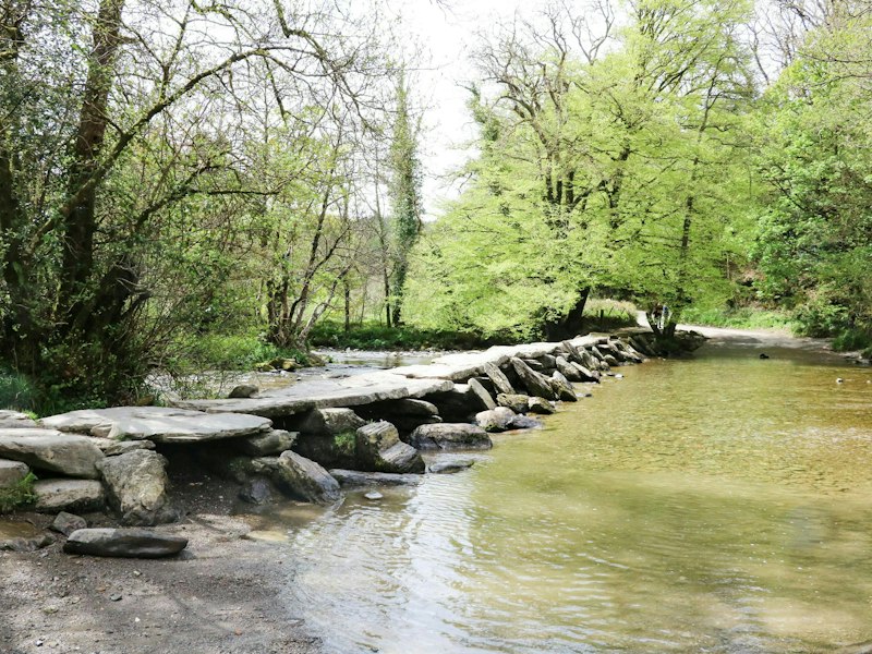 Exmoor Soul additional image