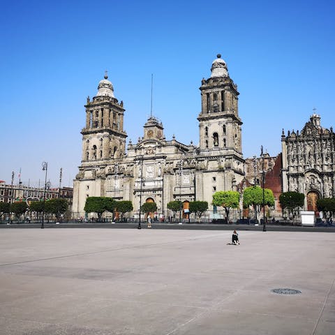 Explore Mexico City from your prime location in Condesa