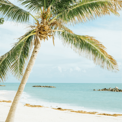 Grab your beach towels and take a seven-minute walk to Higgs Beach