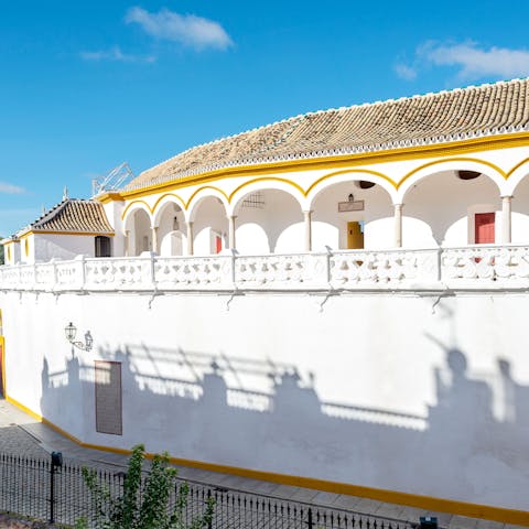 Take in views of the Maestranza bullring