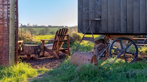 Fields & Seagulls image 7