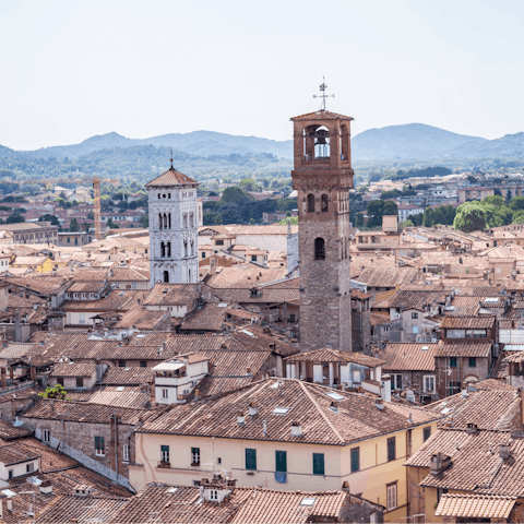Explore all that Lucca has to offer, including the nearby Guinigi Tower 
