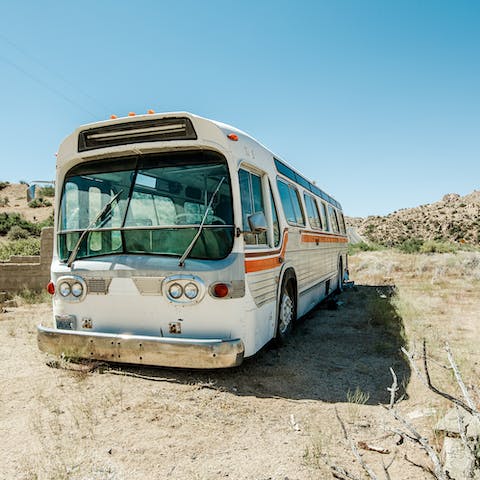 Snap a shot of the vintage bus in the backyard – perfect for Instagram