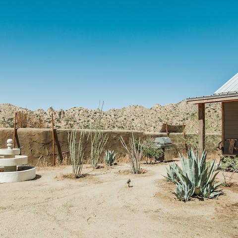Stay in the heart of the desert with nothing but stars and sky around you