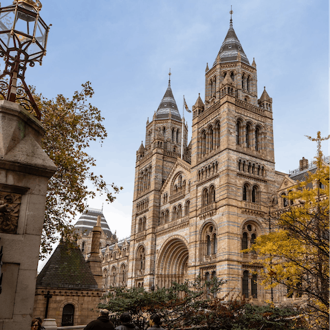 Explore South Kensington's world-class museums – the Natural History Museum is a four-minute walk away