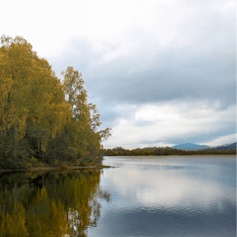 Explore the woodland and lakeside – reachable in five minutes by car
