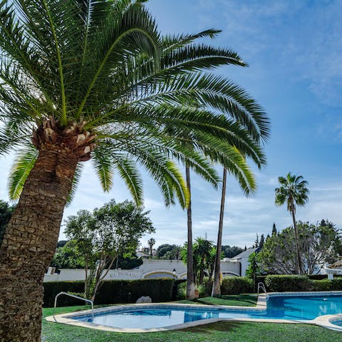 Cool off with a refreshing dip in the palm-lined shared pool