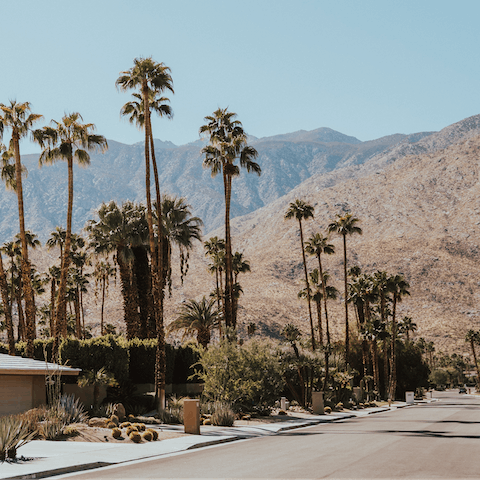 Take the fifteen-minute drive to Downtown Palm Springs